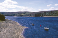 Fisheries - Glenlatterach