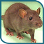 Environmental Health