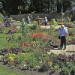 A photo of the Biblical Garden