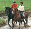 Photo of horse riders