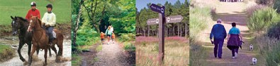 Montage of countryside photos