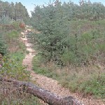 Burghead woods footpath
