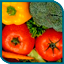 Free School Meals