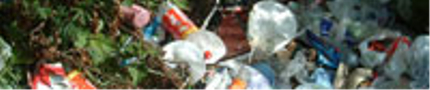 Litter