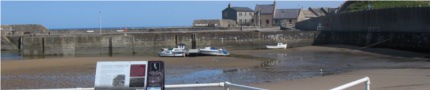 Cullen Harbour Landscape