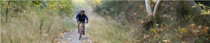 cyclist on woodland path