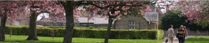Park blossom seasonal