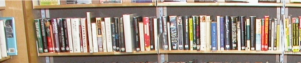 Learning library shelf books 2
