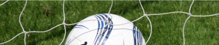 Leisure sports football net