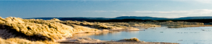 Scenery - east dunes