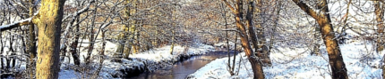 scenery winter scene burn