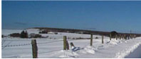 Snow covered landsape