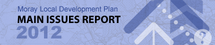 Main Issues Report