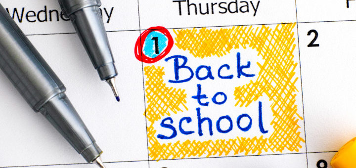 School Term Dates and Holidays image