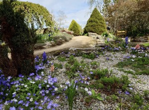 Biblical Gardens 3