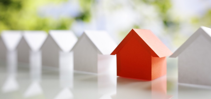 Housing Options, Homelessness and Support image